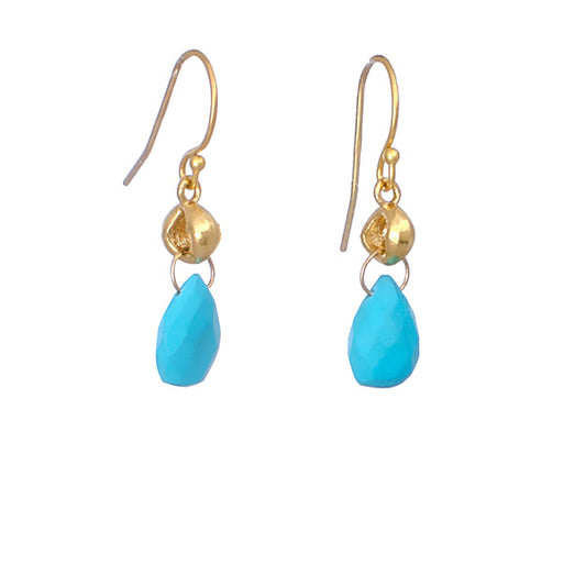 Sleeping beauty turquoise earrings.